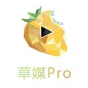 草莓Pro