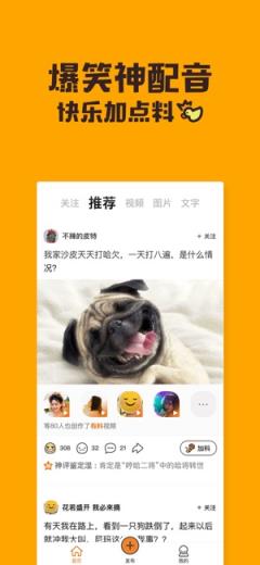 哈皮短视频
