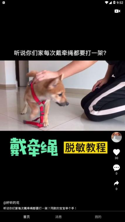 小主(宠物短视频)
