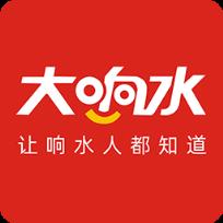 大响水(响水人必备app)