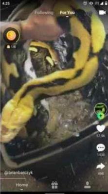 美版快手手机版