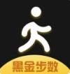 黑金步数
