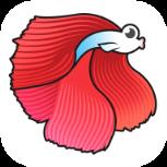 斗鱼快讯app