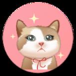 佐程人猫交流器