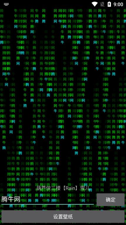 黑客帝国代码雨壁纸