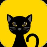猫说短视频在线观看