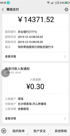 开心养猪场分红猪版