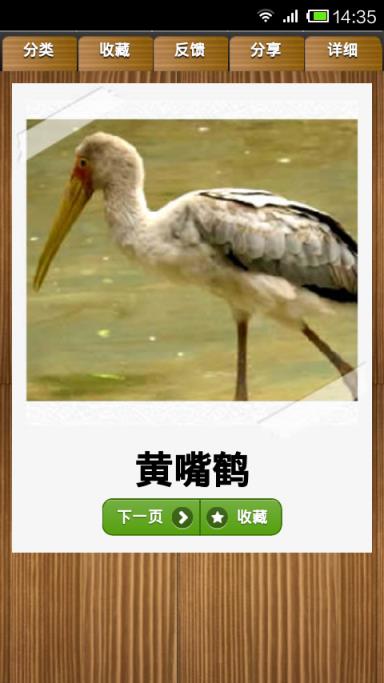 幼儿早教学习卡