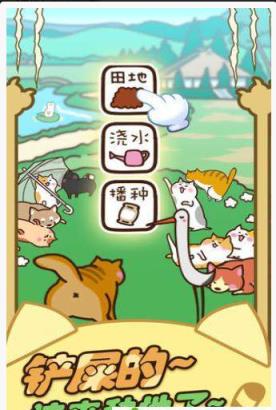 猫咪田园红包版