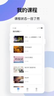 海豚圈圈
