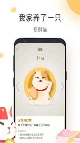 猫咪时间
