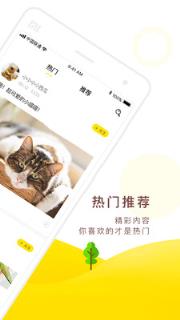 七点