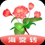 海棠转app
