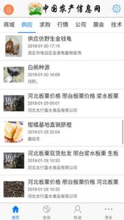 中国农产信息网