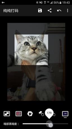 纯纯打码最新版