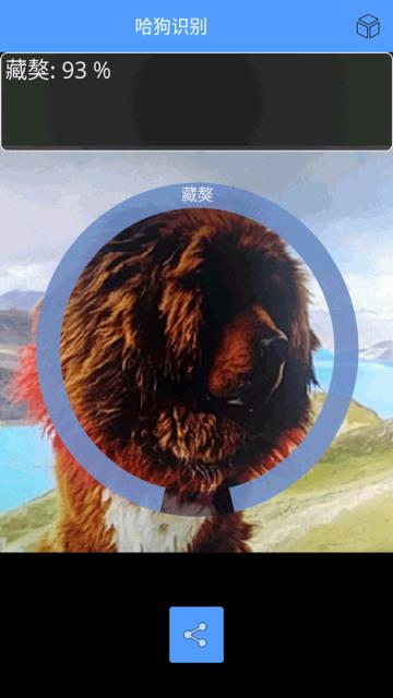 哈狗识别识别狗狗品种软件
