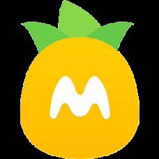 菠萝定制3.0正版授权激活版