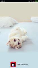 整人宠物恶作剧app