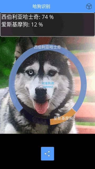 哈狗识别识别狗狗品种软件