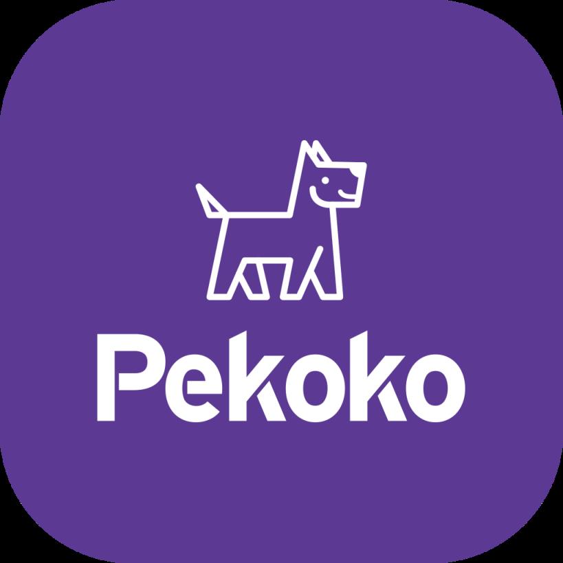 Pekoko皮可可(便携迷你彩色打印机)