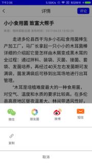 多伦发布