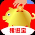 猪进宝
