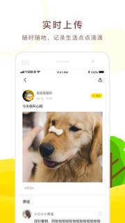 七点