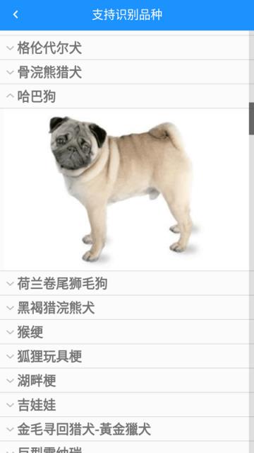 哈狗识别识别狗狗品种软件