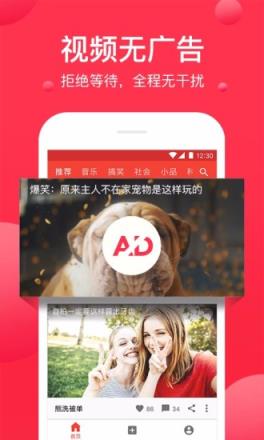西瓜视频app
