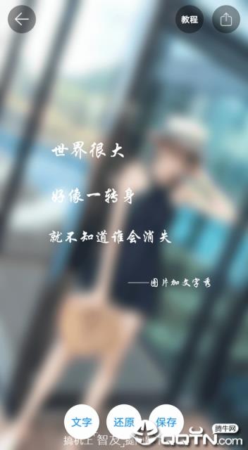 图片加文字秀专业版