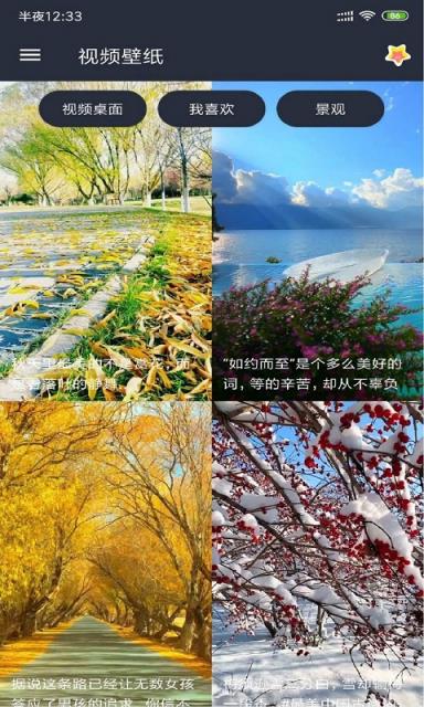 安果视频壁纸app
