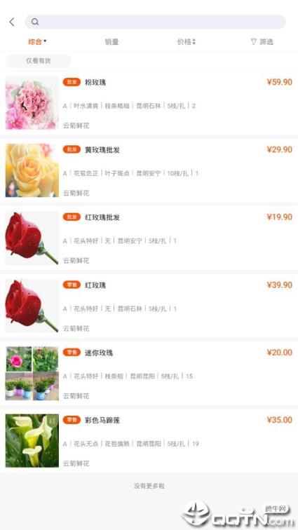 七彩云菊app
