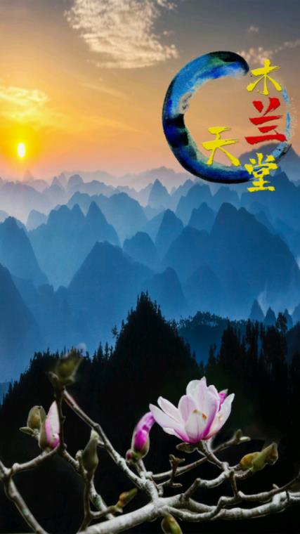 回归西畴app手机