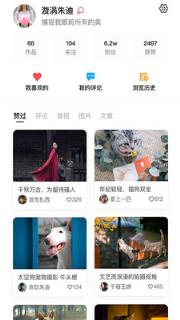 视频Vlog
