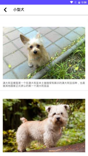 狗狗图鉴app
