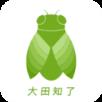 大田知了手机