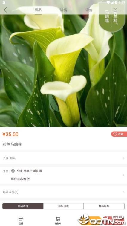 七彩云菊app

