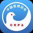 中国信鸽协会app手机