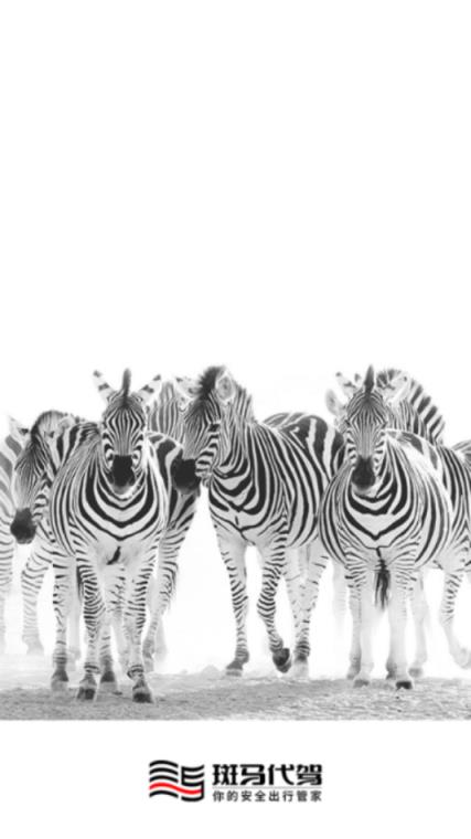 斑马代驾司机端app手机