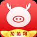 龙猪网app手机
