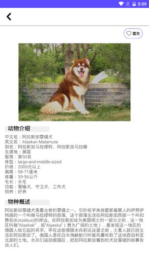 狗狗图鉴app
