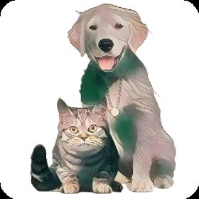 猫狗翻译官免费版