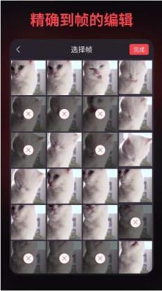 GIF制作vip会员版