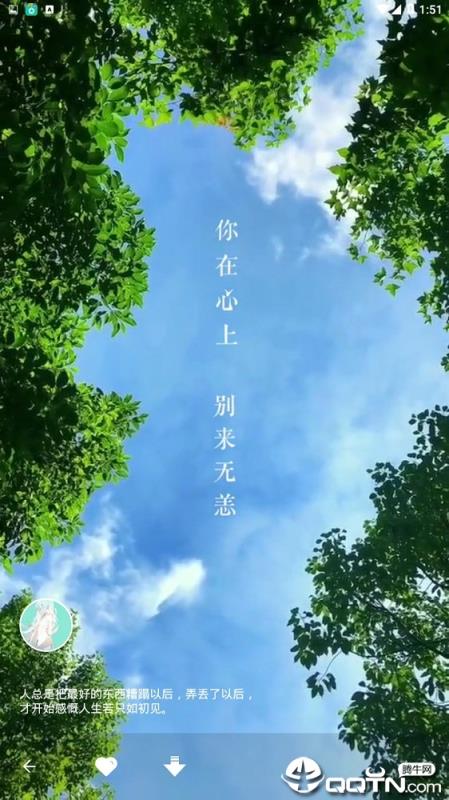 动态墙纸
