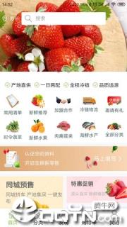 果翠供应链