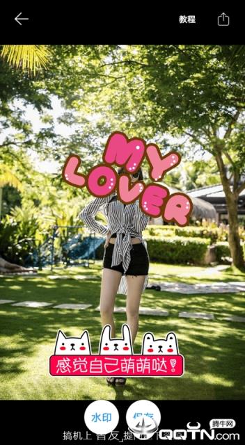 图片加文字秀专业版