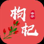 枸杞掌中宝