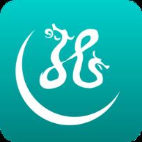 灵云维汉友谊桥手机版