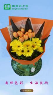 缤纷云上花(鲜花速递)