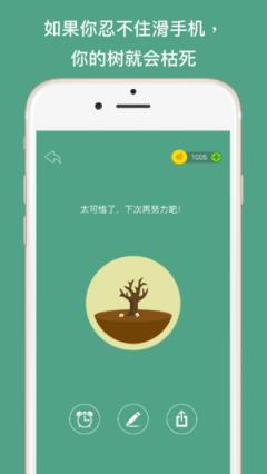 forest专注森林专业版